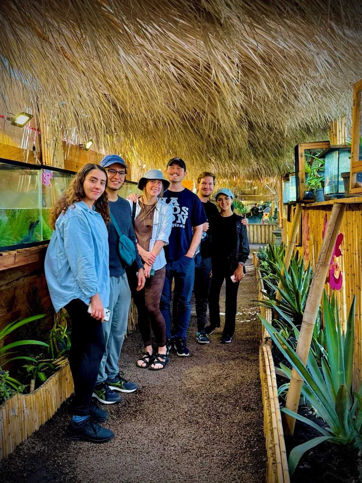 Ajolote de Xochimilco